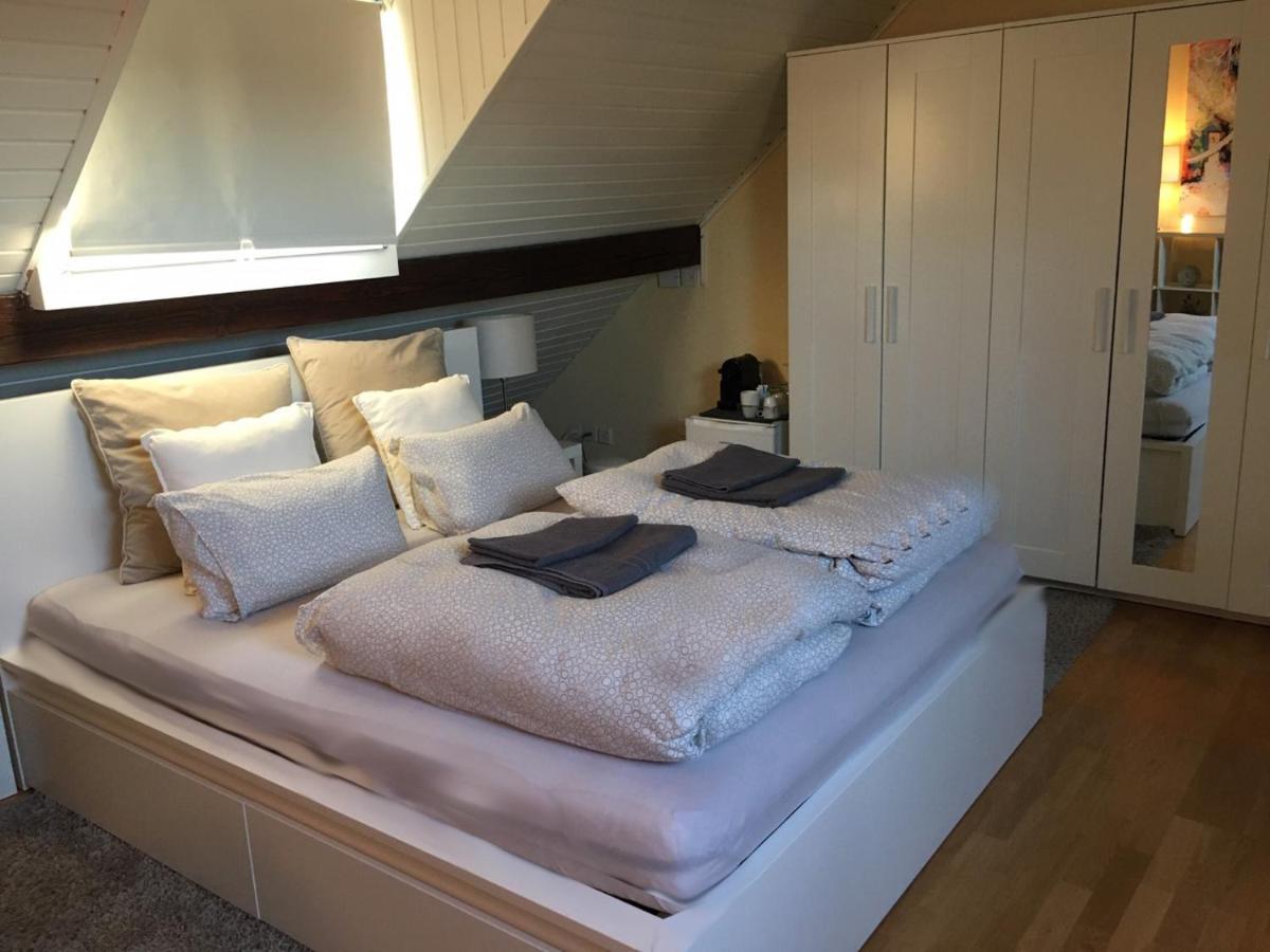 Apartmán Cozy Attica - With Every Comfort - Berne Liebefeld Exteriér fotografie